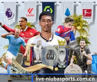 牛八体育官网 APP